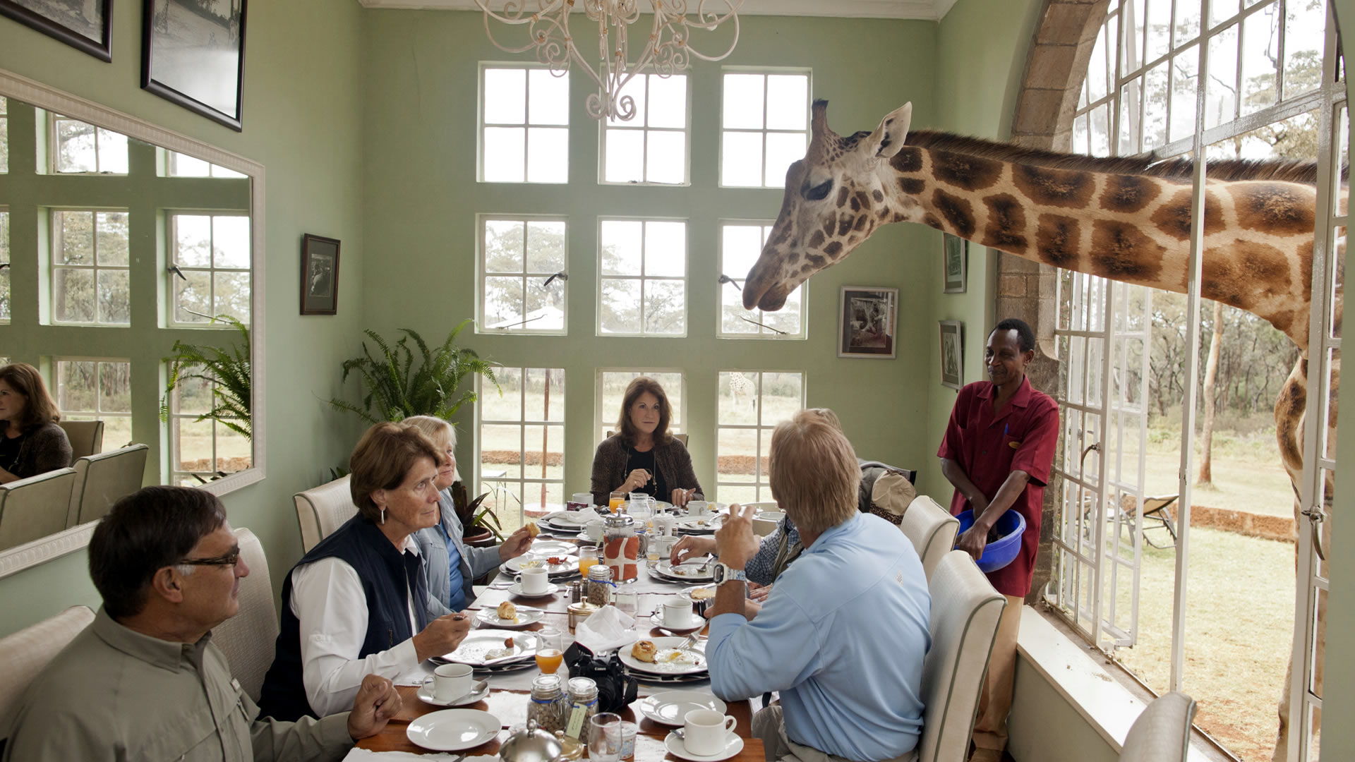 Giraffe Manor