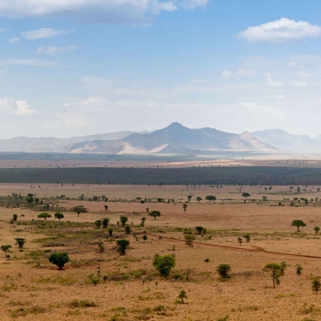 Kidepo Valley National Park