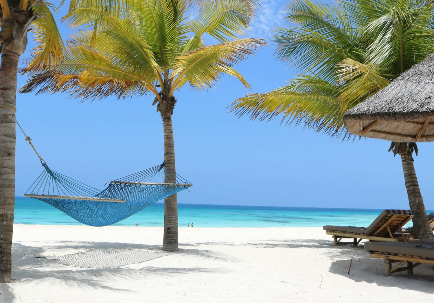 11 Days Bush & Beach Escapades