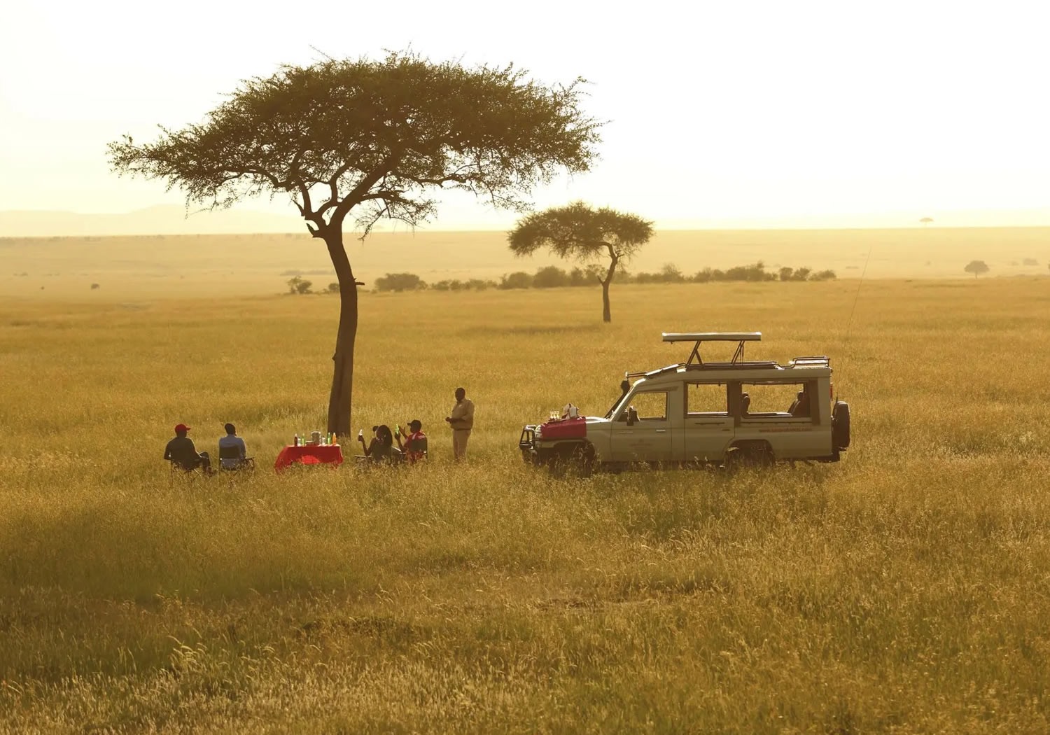 Discover the Wild in Style: 3-Day Sarova Mara Flying Safari Package